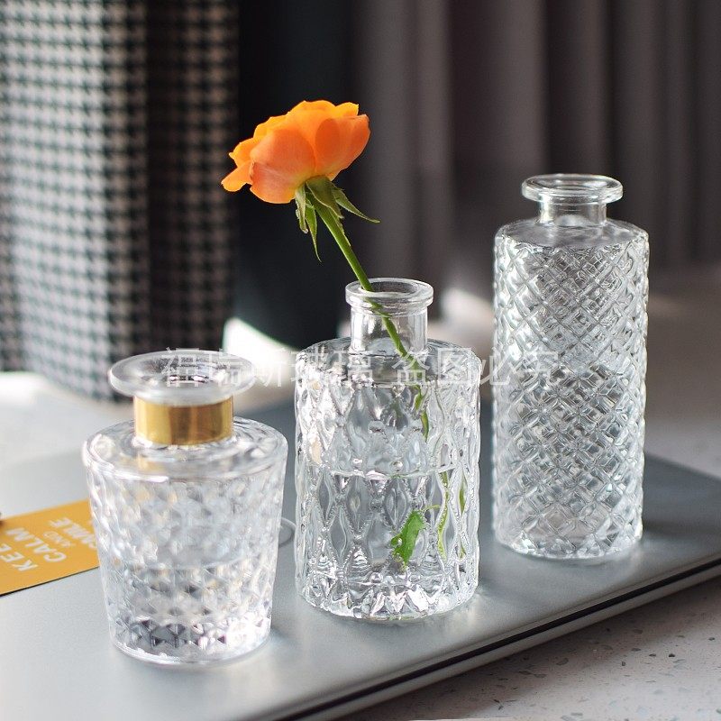 钻石小花瓶玻璃透明小清新文艺轻奢居家玄关卧室床头桌面插花摆件