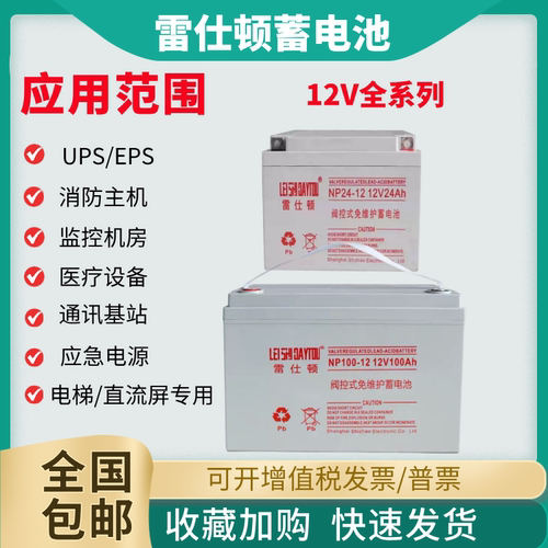 雷仕顿NP12V直流屏UPS/EPS蓄电池