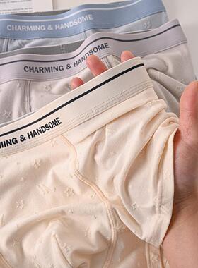 暗潮先生 男士内裤男款短裤冬季2026新款潮流青年男生四角平角裤