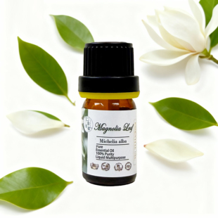 白玉兰叶单方精油植物蒸馏调香净化舒缓淡化香薰甜美清新