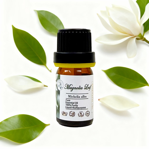 白玉兰叶单方精油芳疗