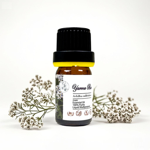 保加利亚西洋蓍草单方精蒸馏深蓝色强效抗敏修复舒缓安抚芳疗