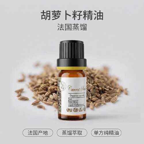 胡萝卜籽单方精油植物蒸馏