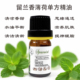 天然绿薄荷单方精油留兰香薄荷止痒香薰芳疗缓解调香芳疗