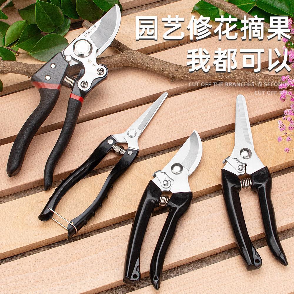 不锈钢园艺修枝盆景造型花艺剪刀图片