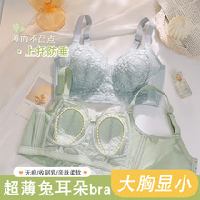 夏季超薄大胸显小蕾丝内衣女薄兔耳朵无钢圈薄款收副乳防下垂