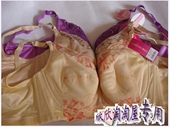 居然落一箱～戴丝玉大杯聚拢调整型五排扣加宽文胸内衣有钢圈75C