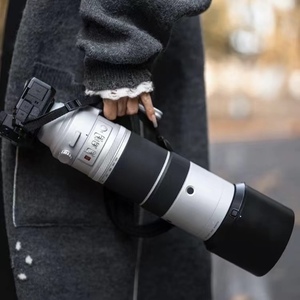 Fujifilm富士 XF150-600mm F5.6-8 R LM OIS WR远摄变焦拍鸟