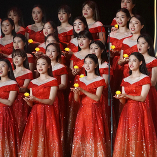 高端星河亮片大合唱团演出服女长裙成人主持晚礼服红歌比赛表演服