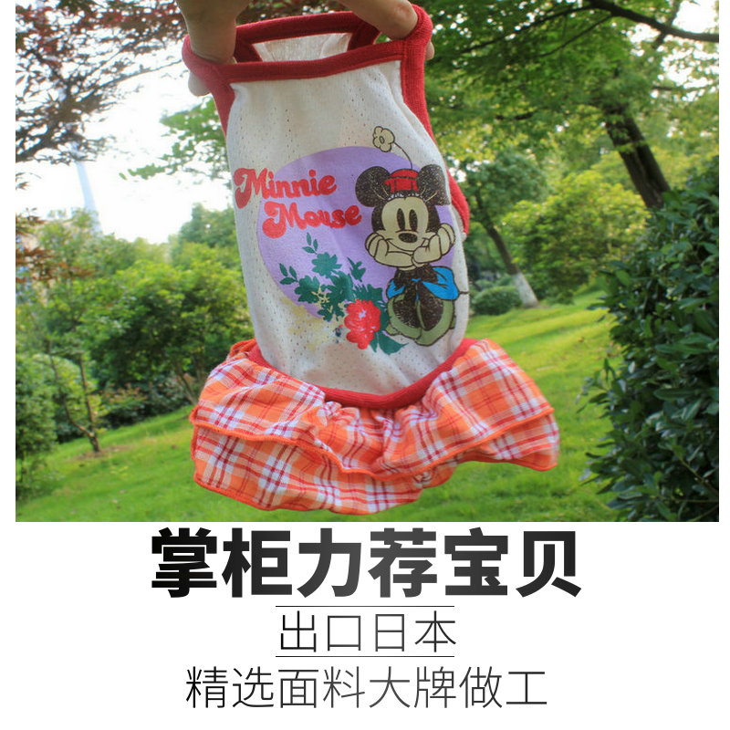 泰迪博美猫咪小型幼犬春夏装