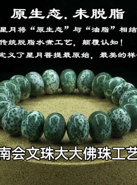 海南星月菩提子阴皮石玉料单圈大尺寸手串原生态帝皇绿青花瓷玄月