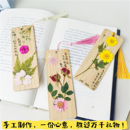 楠竹书签diy压花材料包植物标本押花真花古风儿童手开学季 礼物