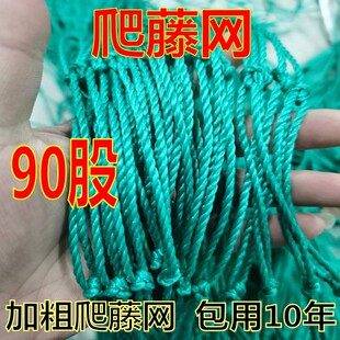 爬藤网植物花卉瓜果丝瓜吊瓜苦瓜南瓜葡萄豆角百香果爬藤网攀爬网