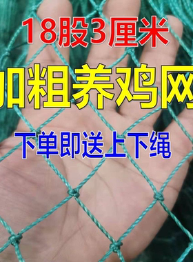 18股加粗养鸡网家禽养殖网围栏网