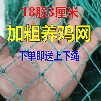 家禽养殖网养鸡网防鸟网围网尼龙网养殖天网拦鸡网围栏防护网菜地