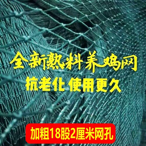 家禽养鸡养拦鸡拦鸡网鸡网尼龙网