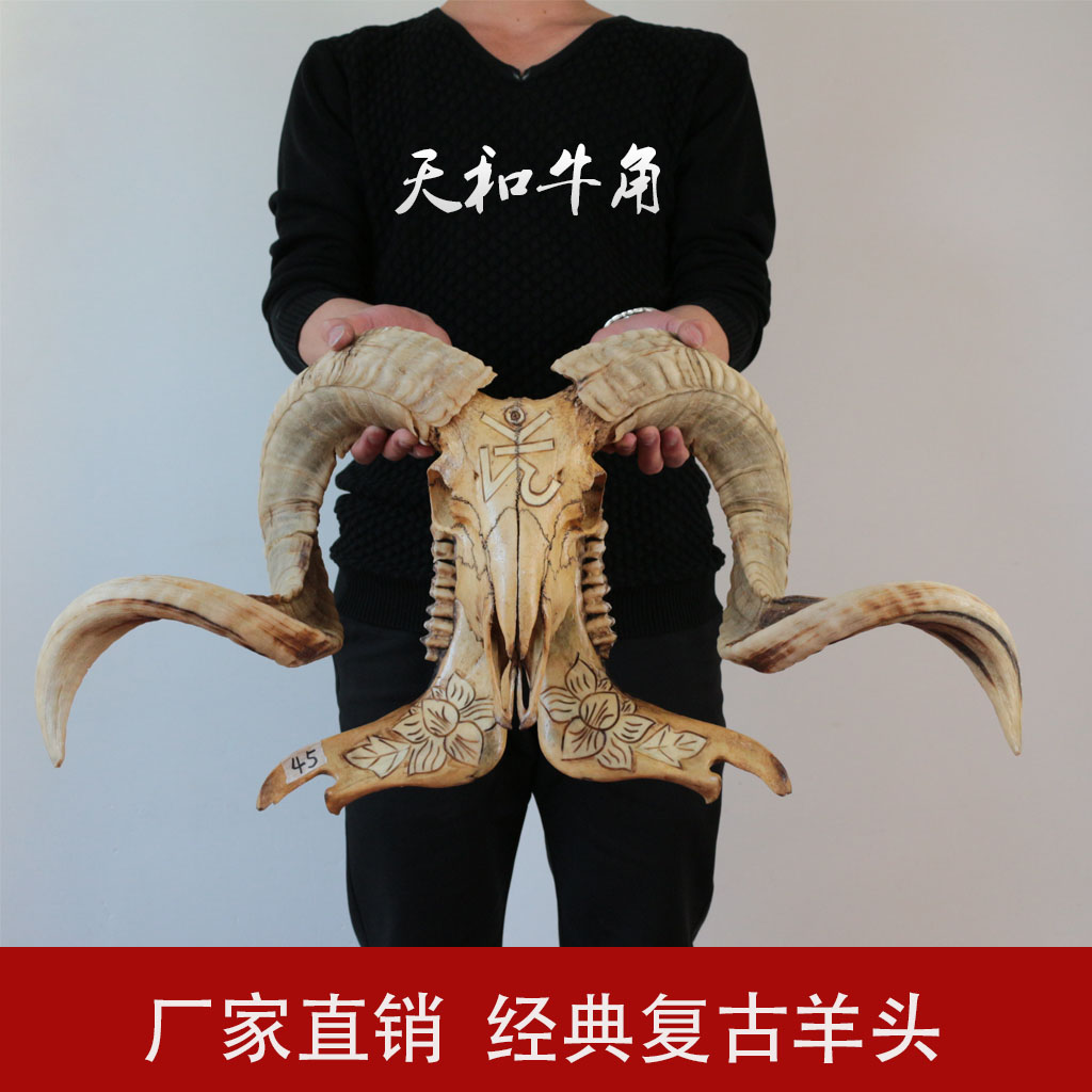 羊头骨标本 藏区天然真牛头 羊头工艺品 装饰羊头骨挂饰摆件