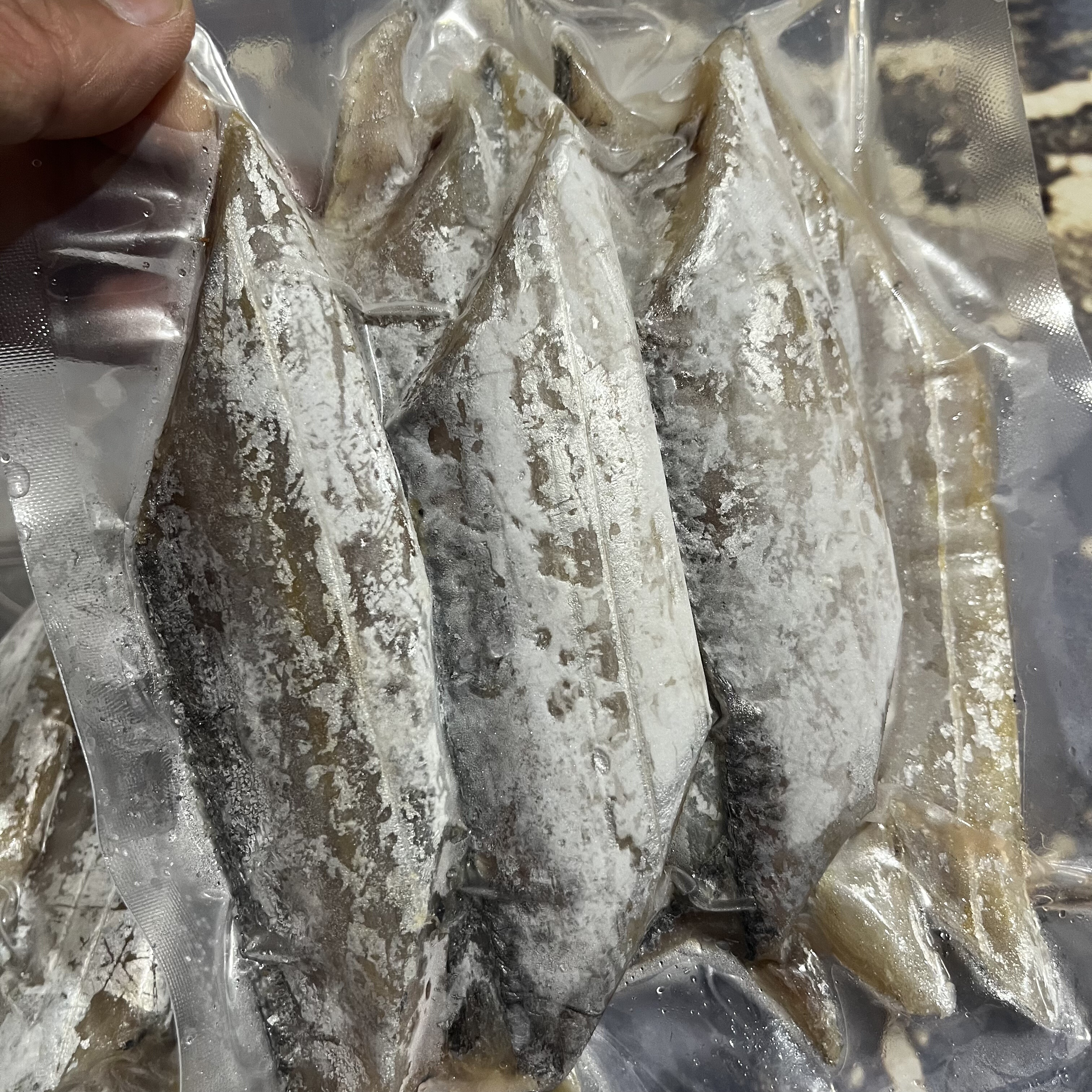 苍南油带鱼段风带半干腌制约3-3.5cm微咸真空包装新鲜鱼段400g/包