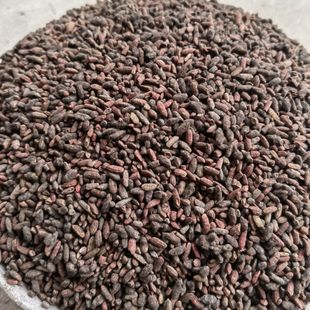 乌衣红曲米温州黑毛曲米红衣曲米 月子红酒女儿红酿酒发酵500g