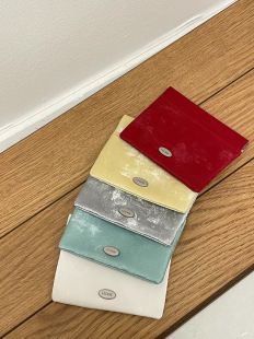 韩国东大门代购LEONIE时尚百搭小巧卡包春日洋气款