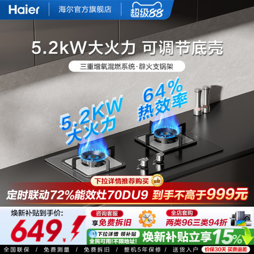 海尔家用双灶台式大火力Q2BE6
