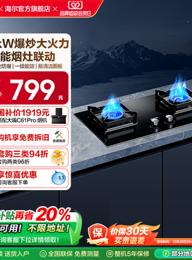 海尔燃气灶煤气灶家用双灶天然气灶台厨房家用煤气炉灶具Q2BE58