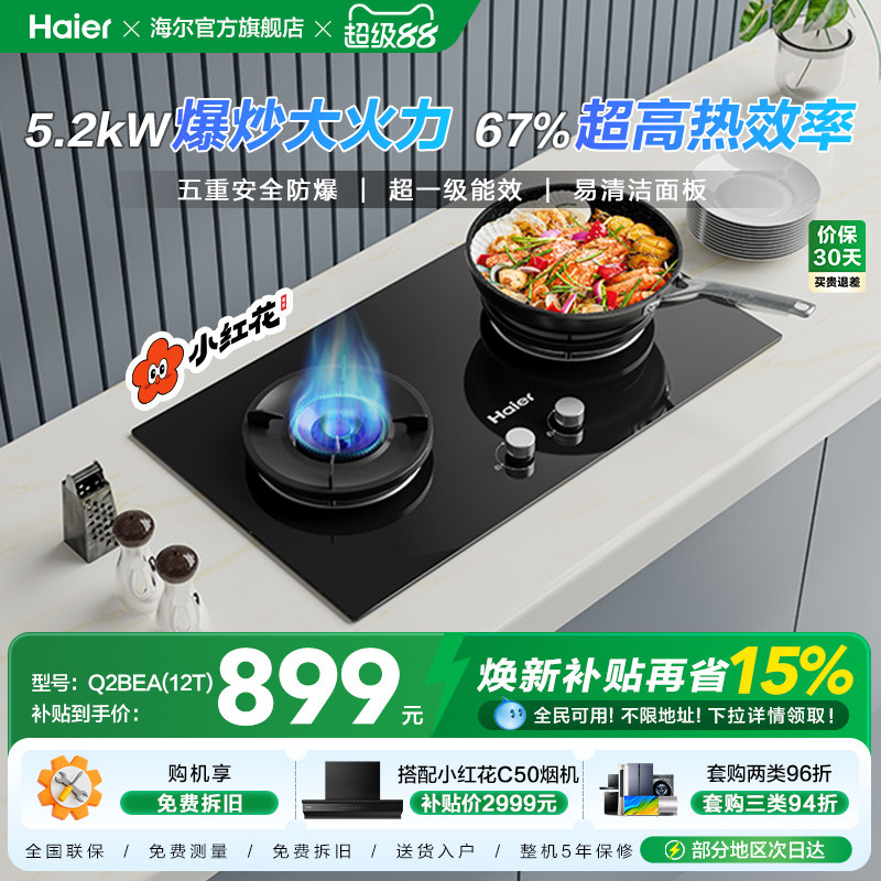 海尔小红花套系Q2BEA燃气灶煤气灶双灶家用天然气灶台