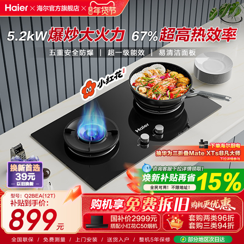 海尔小红花套系Q2BEA燃气灶煤气灶双灶家用天然气灶台