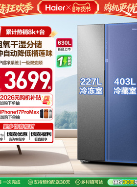 政府换新补贴海尔冰箱630L对开双开门大容量一级能效家用风冷无霜