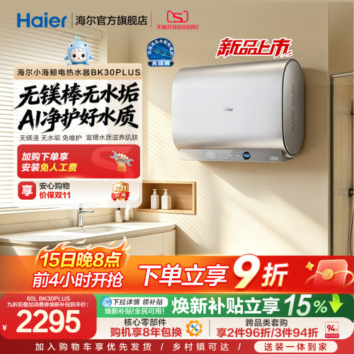 海尔60升无镁棒双胆BK30plus