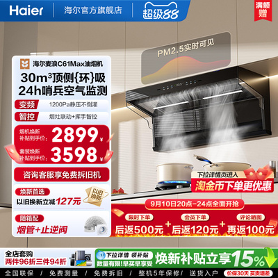 海尔大嘴C61Max油烟机燃气灶套装