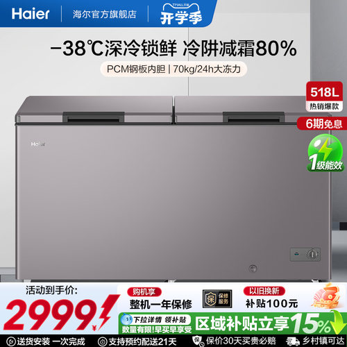 Haier/海尔商用大冰柜冷柜
