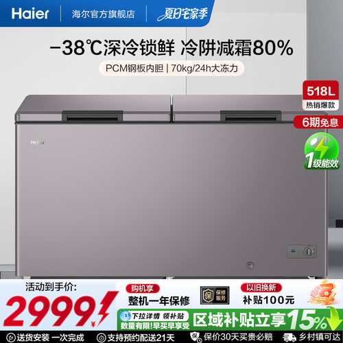 Haier/海尔商用大冰柜冷柜