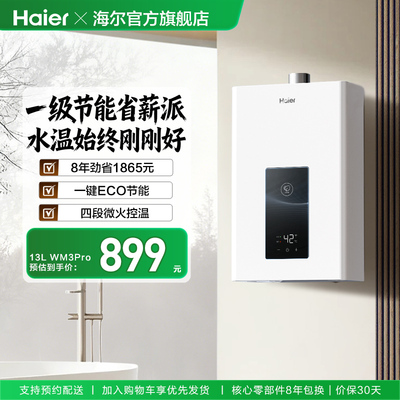 海尔燃气热水器节能水伺服WM3pro