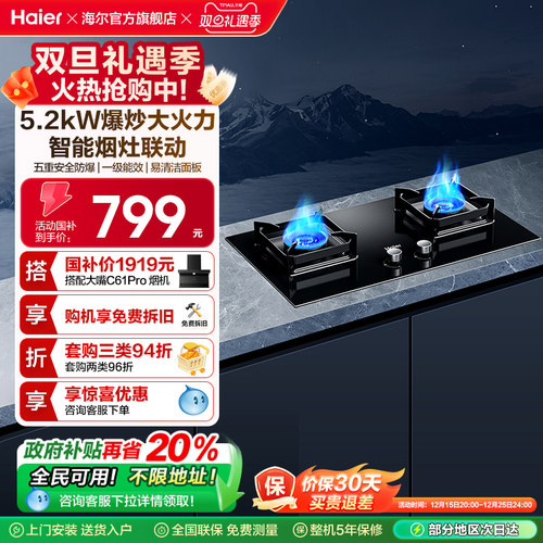 海尔燃气灶煤气灶家用双灶天然气灶台厨房家用煤气炉灶具Q2BE58