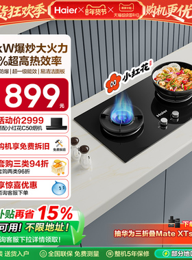 海尔小红花套系Q2BEA燃气灶煤气灶双灶家用天然气灶台