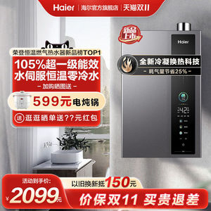 新品海尔燃气热水器增压超一级能效零冷水伺服16升L家用天然气ER3
