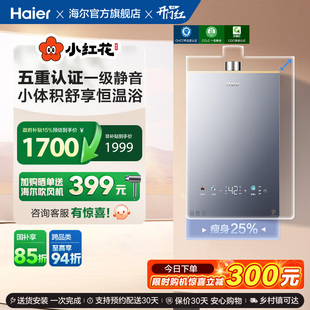 燃气热水器静音王KL5PRO天然气家用恒温水伺服16L 海尔小红花