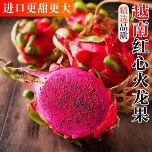 越南红心火龙果新鲜5斤礼盒进口应季热带水果蜜宝云南红肉火龙果