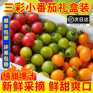 广东电白千禧小番茄新鲜圣女果彩色三色爆小番2斤礼盒樱桃小番茄