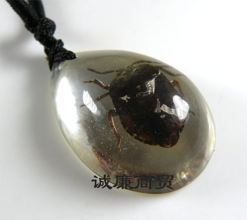琥珀项链透明昆虫吊坠