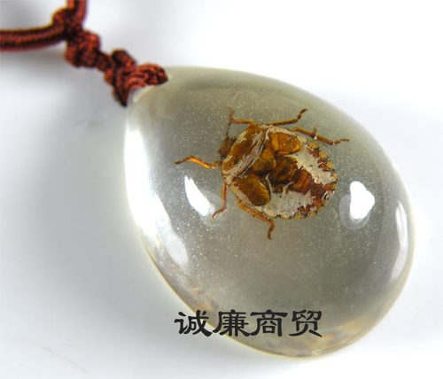 琥珀项链透明昆虫吊坠