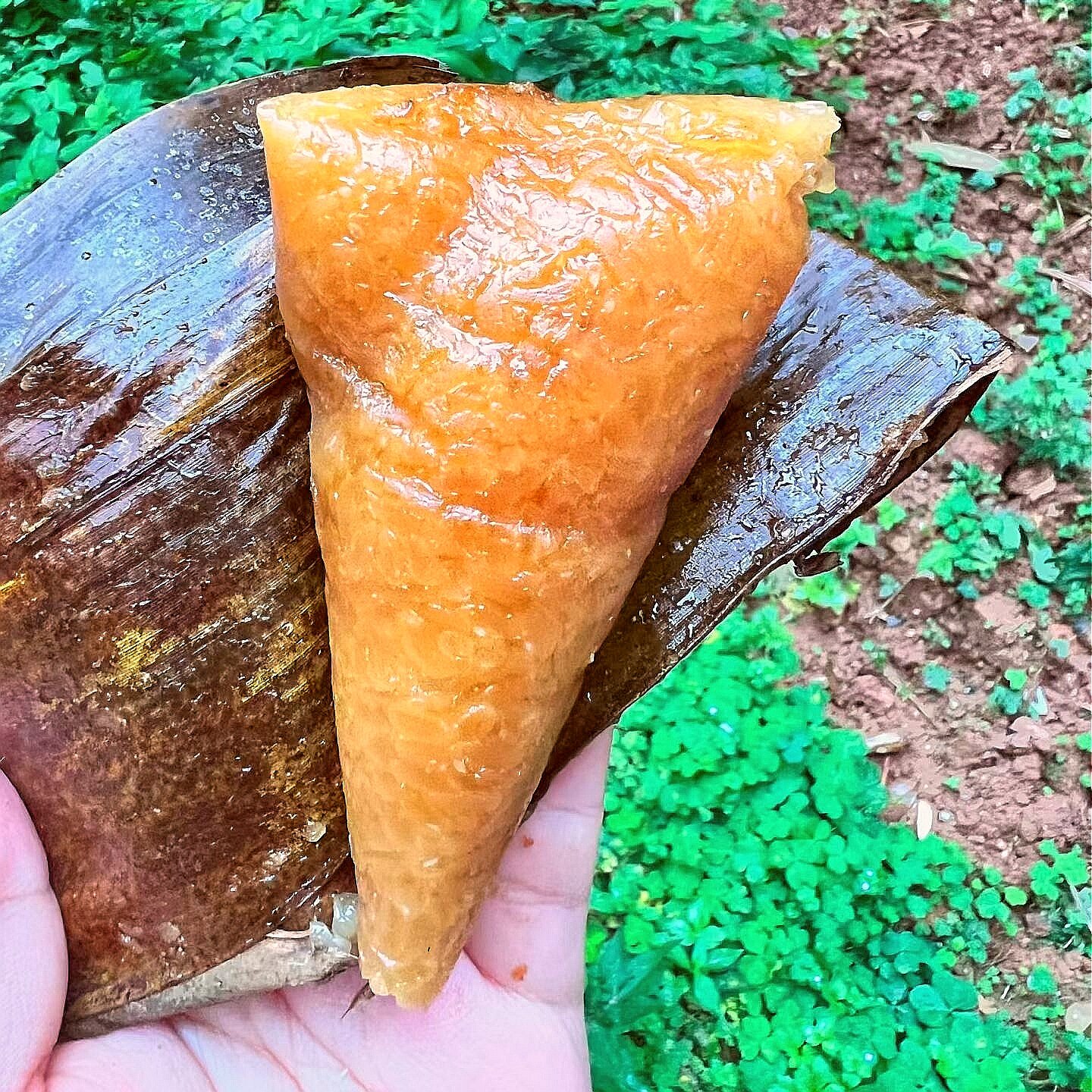 10个现做农家手工端午碱水粽子糯米红豆粽子枕头三角灰水草木灰粽