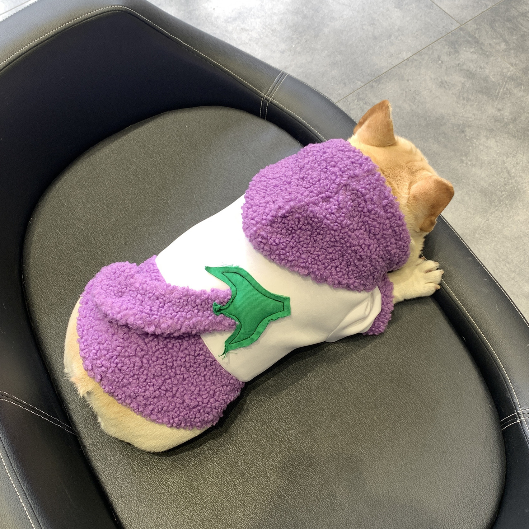 宠物狗狗秋冬卫衣 法斗八巴哥英斗衣服 毛绒棉衣 清仓