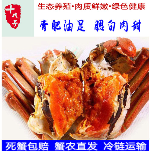 大纵湖大闸蟹江浙沪皖顺丰包邮