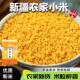 天山旱沃新疆特产农家糯黄小米油新米熬粥杂粮小米粥粘糯食用粗粮