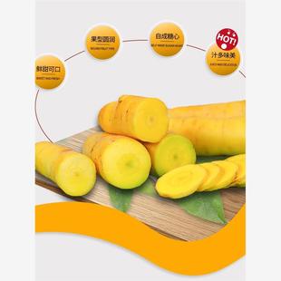 新疆正宗手抓饭蔬菜恰玛古冰糖心黄萝卜皮牙子白洋葱特色胡萝卜