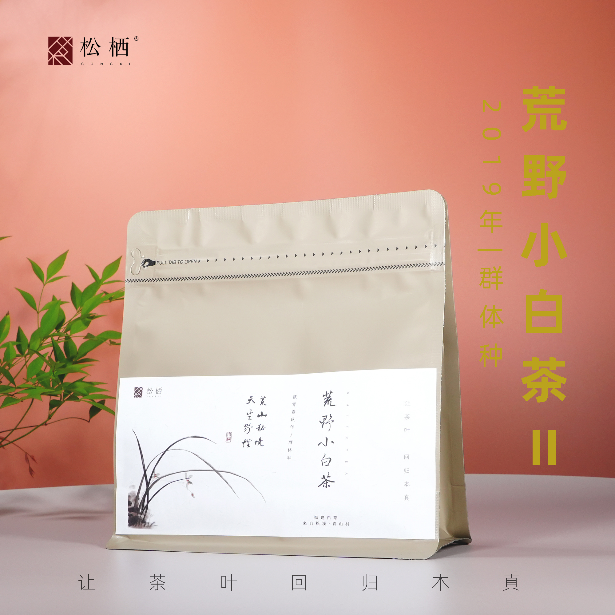『松栖』【2019荒野小白】散茶&小饼甜润枣药香醇厚有韵味老白茶