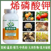 烯磷酸钾叶面肥控旺控稍抑菌高磷高钾催芽保花膨果生长素水溶肥料