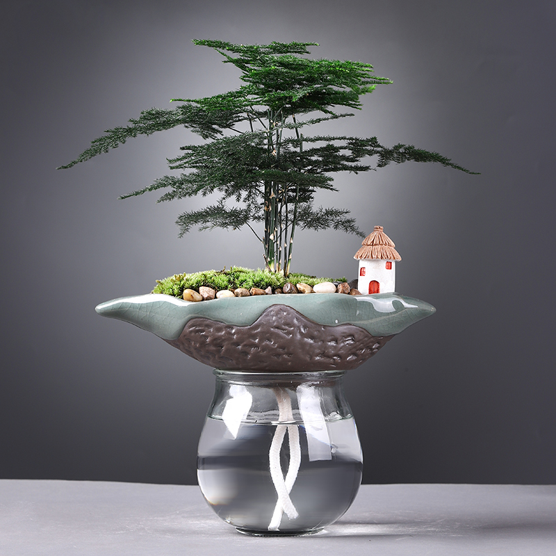 室内净化空气自动吸水好养易活